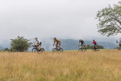 Cyclists biking